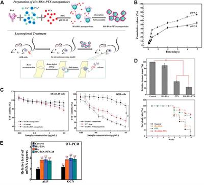 Biomaterial-assisted tumor therapy: A brief review of hydroxyapatite nanoparticles and its composites used in bone tumors therapy